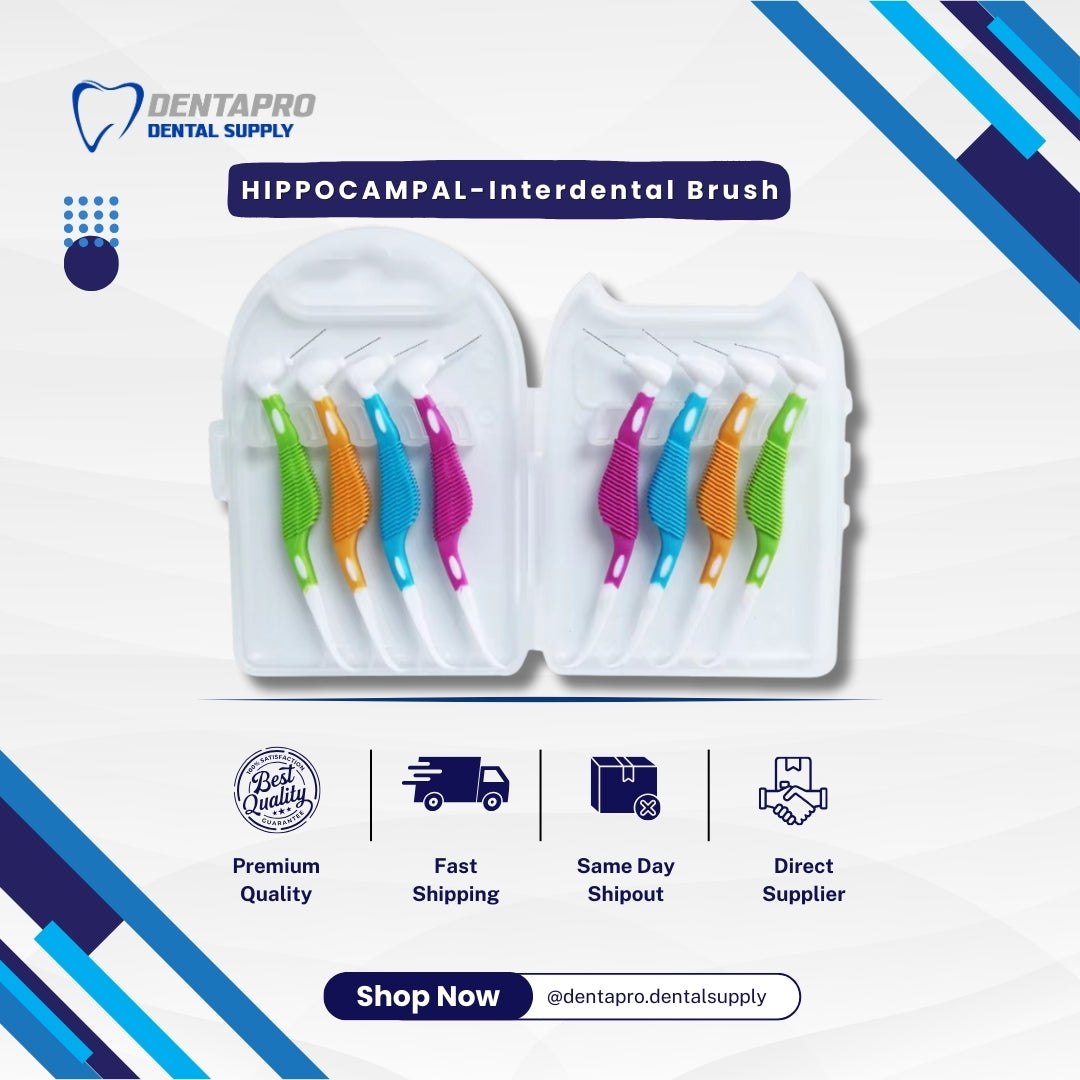 HIPPOCAMPAL INTERDENTAL BRUSH